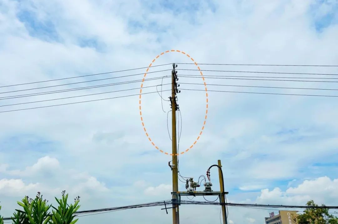 1754030256.jpg 1.jpg