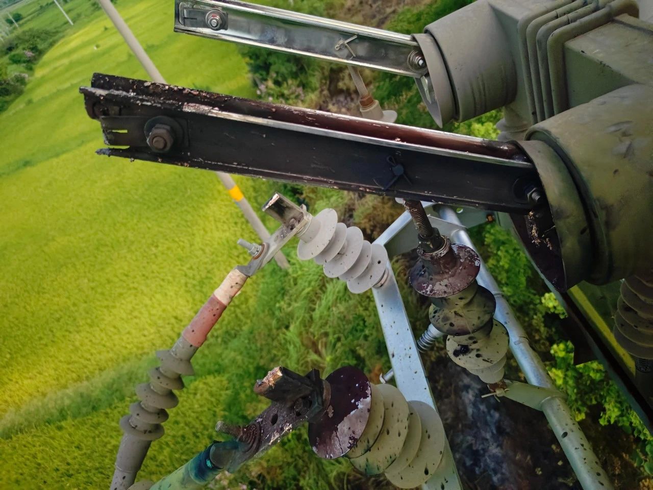 1754030339.jpg 2.jpg