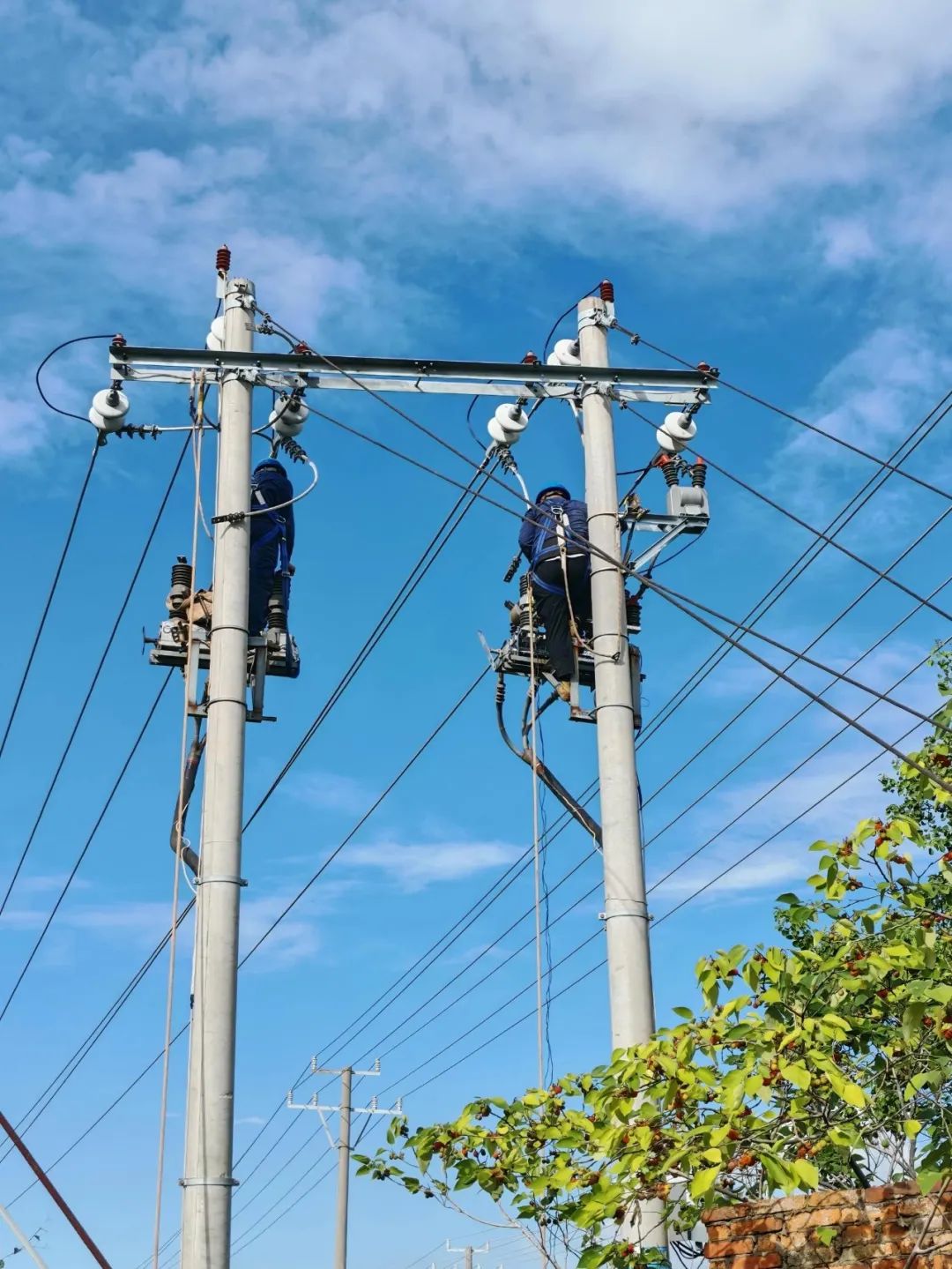 1754030475.jpg 4.jpg