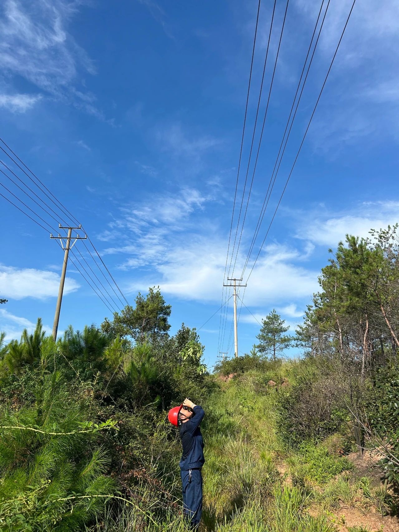 1754030559.jpg 6.jpg